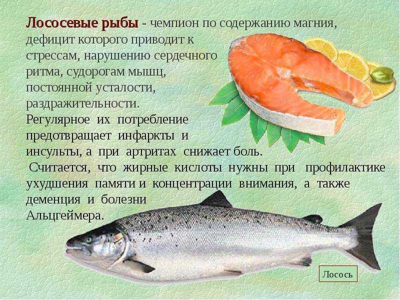 ✅ самая полезная рыба для детей - vsezap24.ru