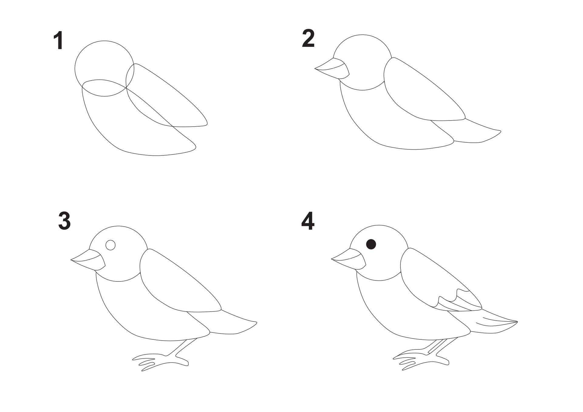 Какие птицы можно нарисовать. Птичка рисунок для детей карандашом. Поэтапное рисование птиц. Рисунки птиц карандашом для начинающих. Схема рисования птицы.