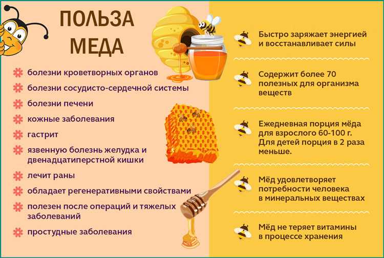Полезно ли варенье: его полезные свойства, остаются ли в нем витамины, какое самое лучшее для здоровья, что полезнее мед, сахар, шоколад