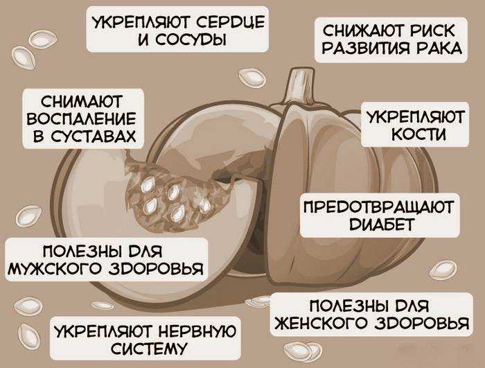 Как употреблять тыквенные семечки? необычные свойства и польза сырых семечек тыквы
