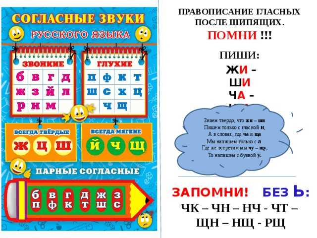 Схема гласных и согласных твердых и мягких