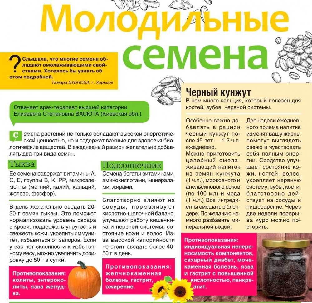 Семена тыквы: лечебные свойства и противопоказания, польза и вред для мужчин и женщин
