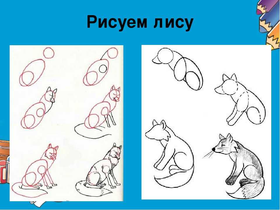 Как нарисовать ворону поэтапно карандашом: урок по рисованию вороны из басни крылова. схемы, советы, картинки от художника