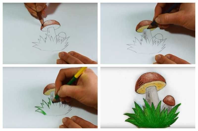 Как нарисовать грибы