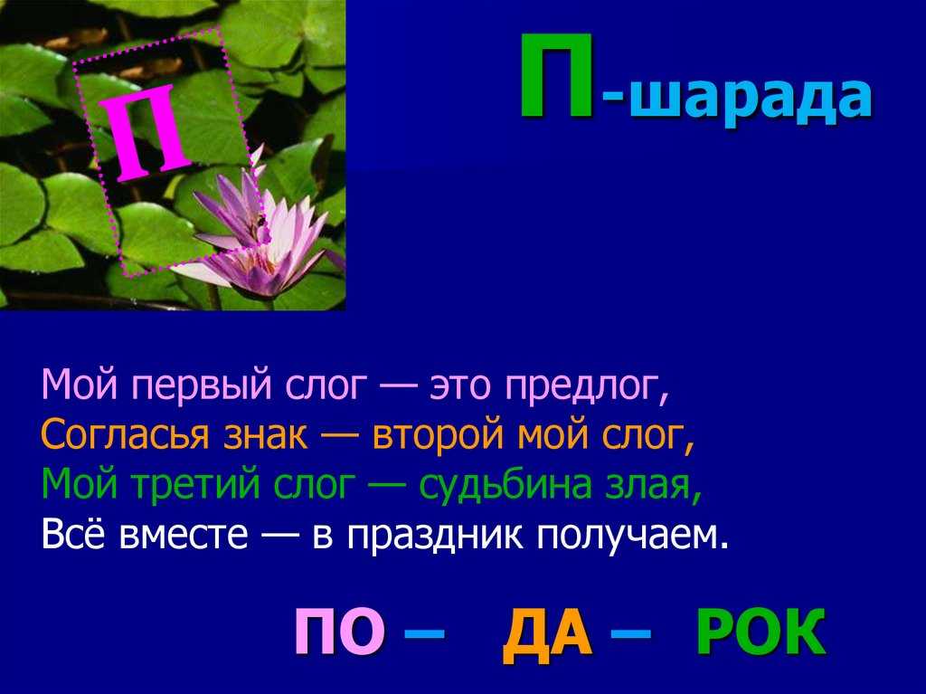 Шарады по русскому языку 1 класс с ответами и картинками