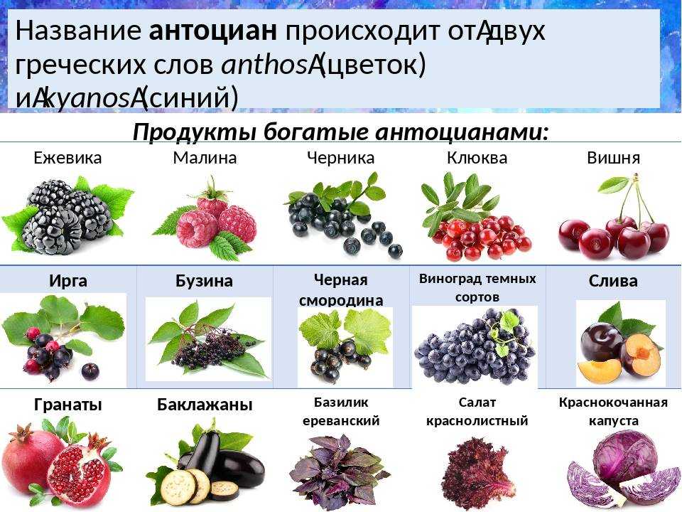 Какие овощи являются ягодами