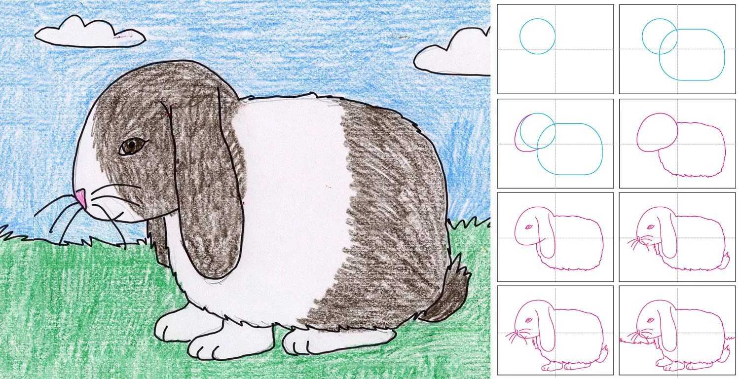 Учим детей рисовать животных: 30 простых пошаговых схем