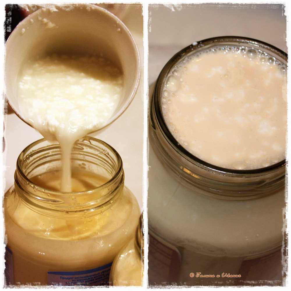 Топленое молоко. как сделать топленое молоко - рецепт