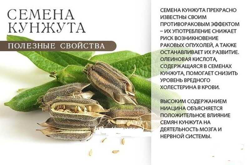 С какого возраста можно детям кунжут?