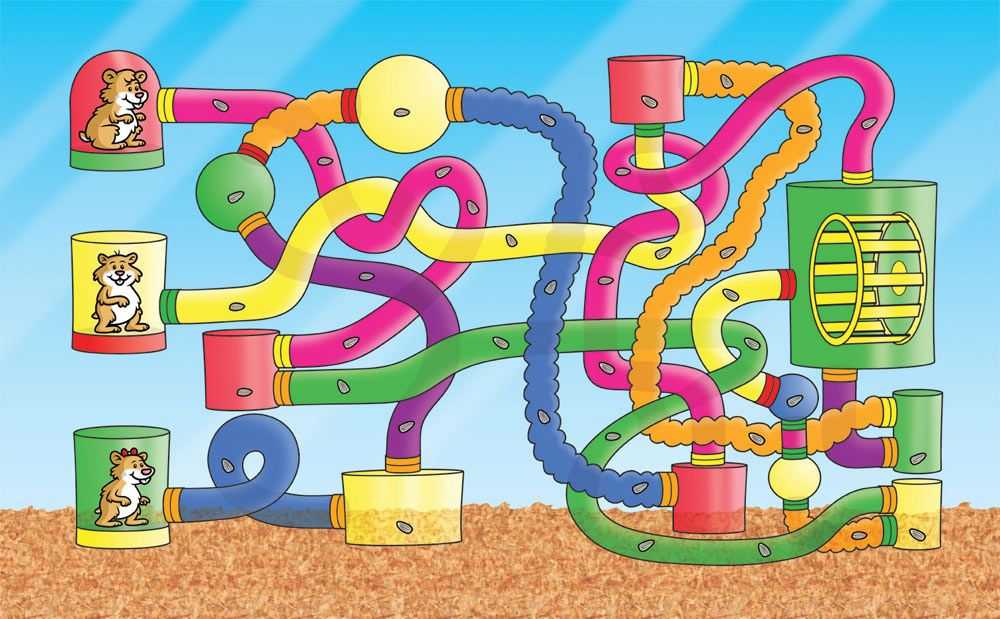 Настольная игра для детей «сумасшедший лабиринт»: правила и особенности