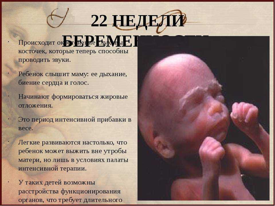 Беременность 21. Плод на 22 неделе беременности. Малыш на 22 неделе беременности. 22 Неделя беременности размер.