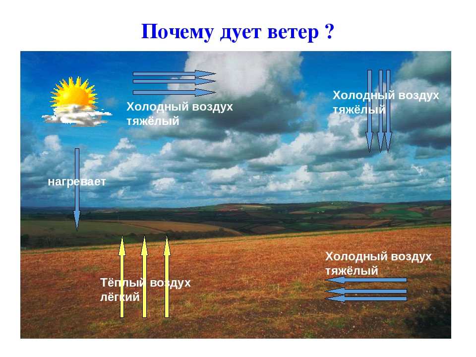 Где возникает ветер. Почему дует ветер. Возникновение ветра. Почему дует ветер схема. Теплого и холодного воздуха.