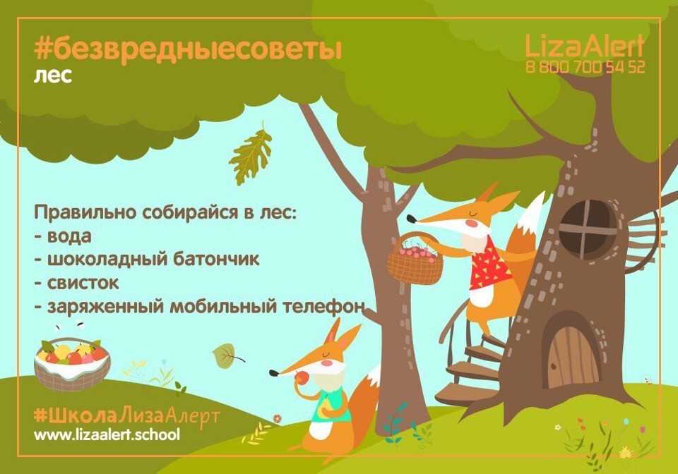 Правила поведения в лесу очень важны, так как они помогают не только научиться стать культурным и воспитанным человеком в любой сфере жизни, но и науч