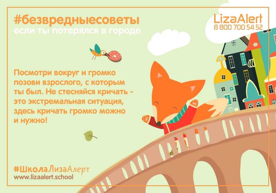 Что делать, если заблудился в лесу: памятка для детей и взрослых