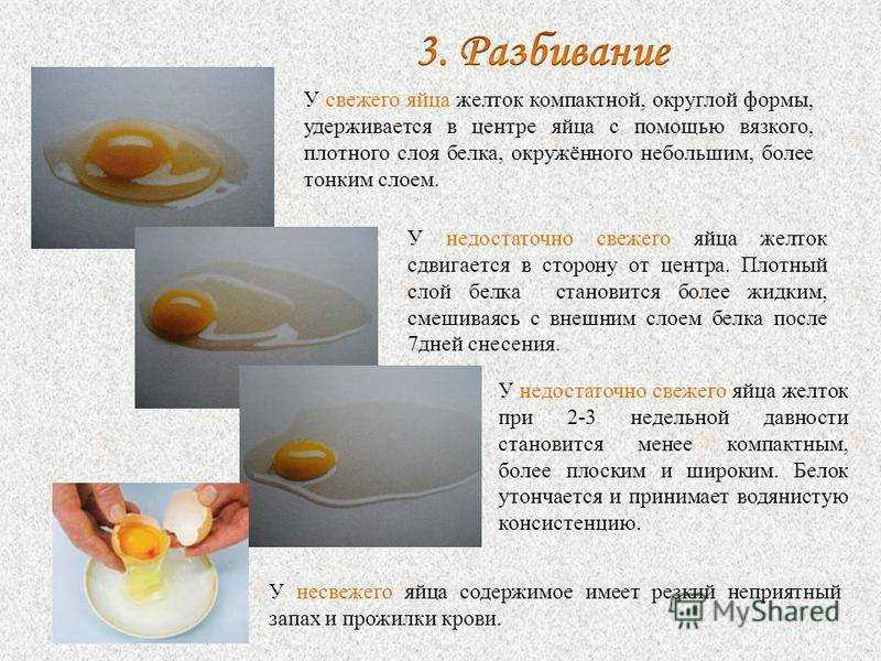 Как сохранить желтки от яиц в холодильнике, морозилке и при комнатной температуре, сколько можно хранить, как увеличить период годности продукта?