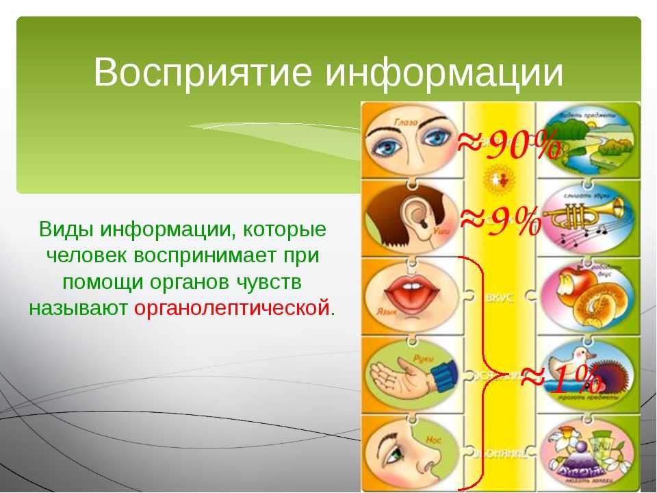 Анатомия глаза человека - подробное строение