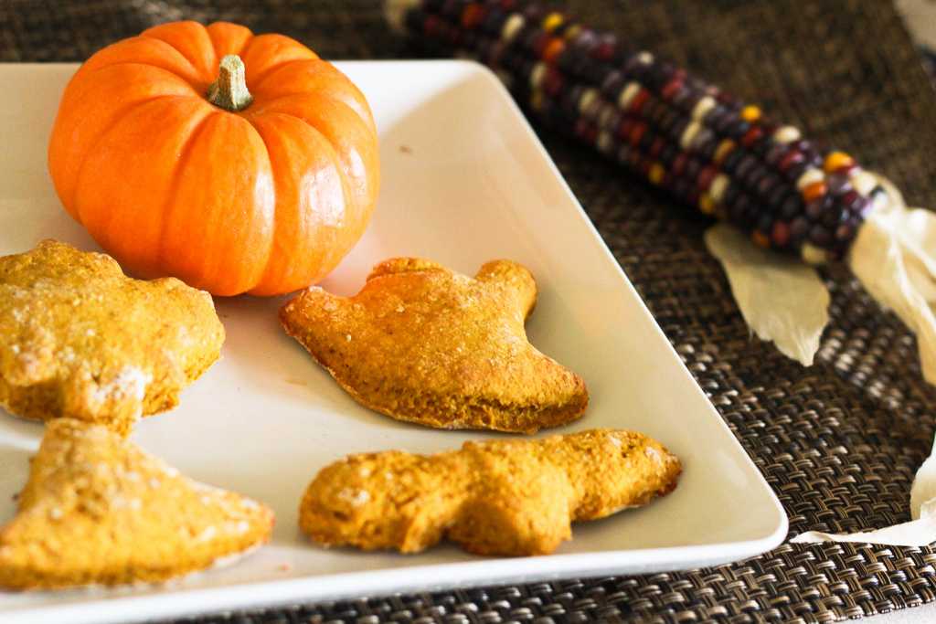 Топ 10 самых вкусных блюд из тыквы