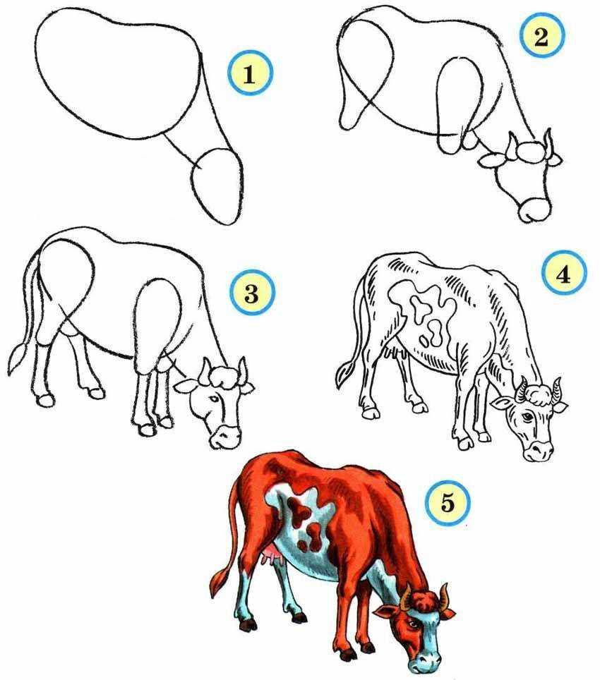 Рисуем животных карандашом. руководство для начинающих ⭐️