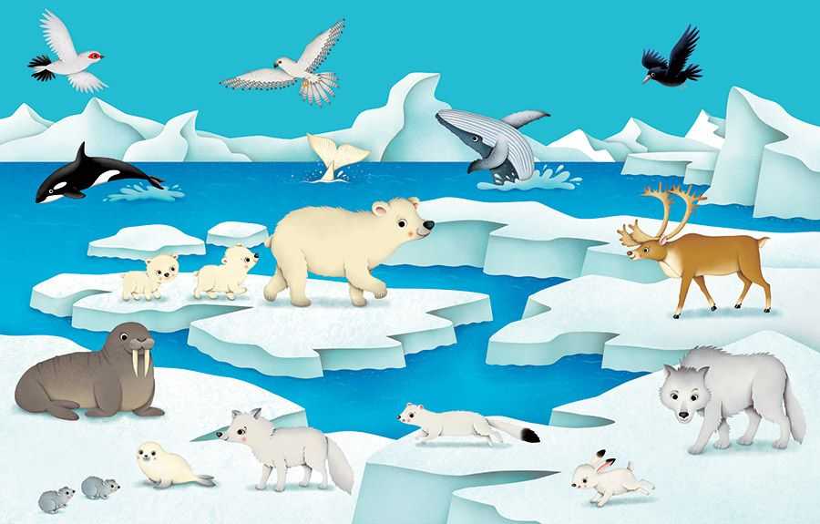 Рисуем с детьми 4-5 лет: карандашом и красками