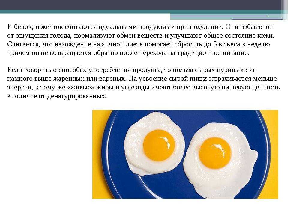 ᐉ от чего зависит цвет скорлупы куриного яйца: обзор причин - zooon.ru