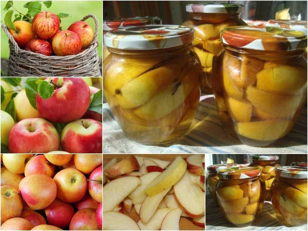 Заготовки из яблок на зиму – самые лучшие рецепты + фото