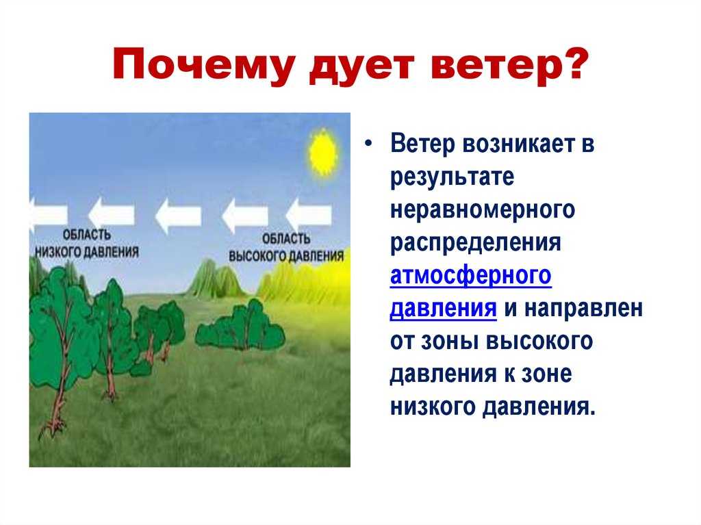 Откуда дует ветер проект