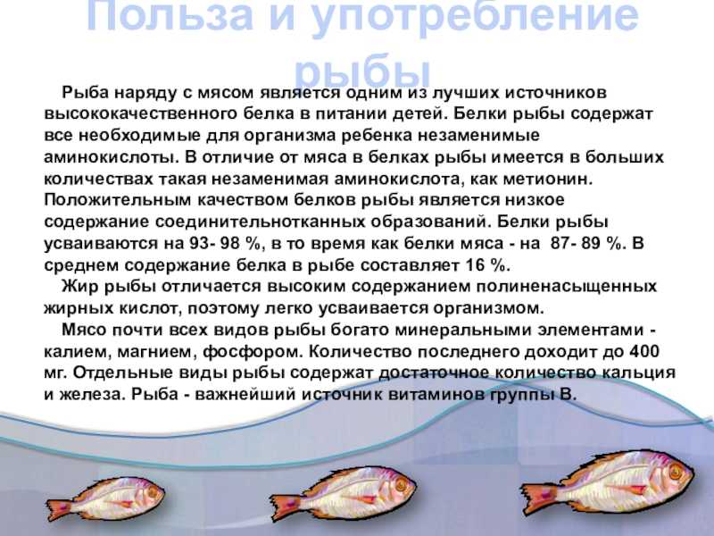 Детское меню: 3 рецепта блюд из рыбы, которые оценит любой нехочуха
