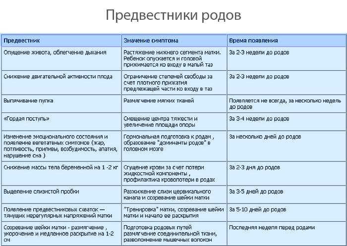 Не отпускает маму ни на шаг | уроки для мам