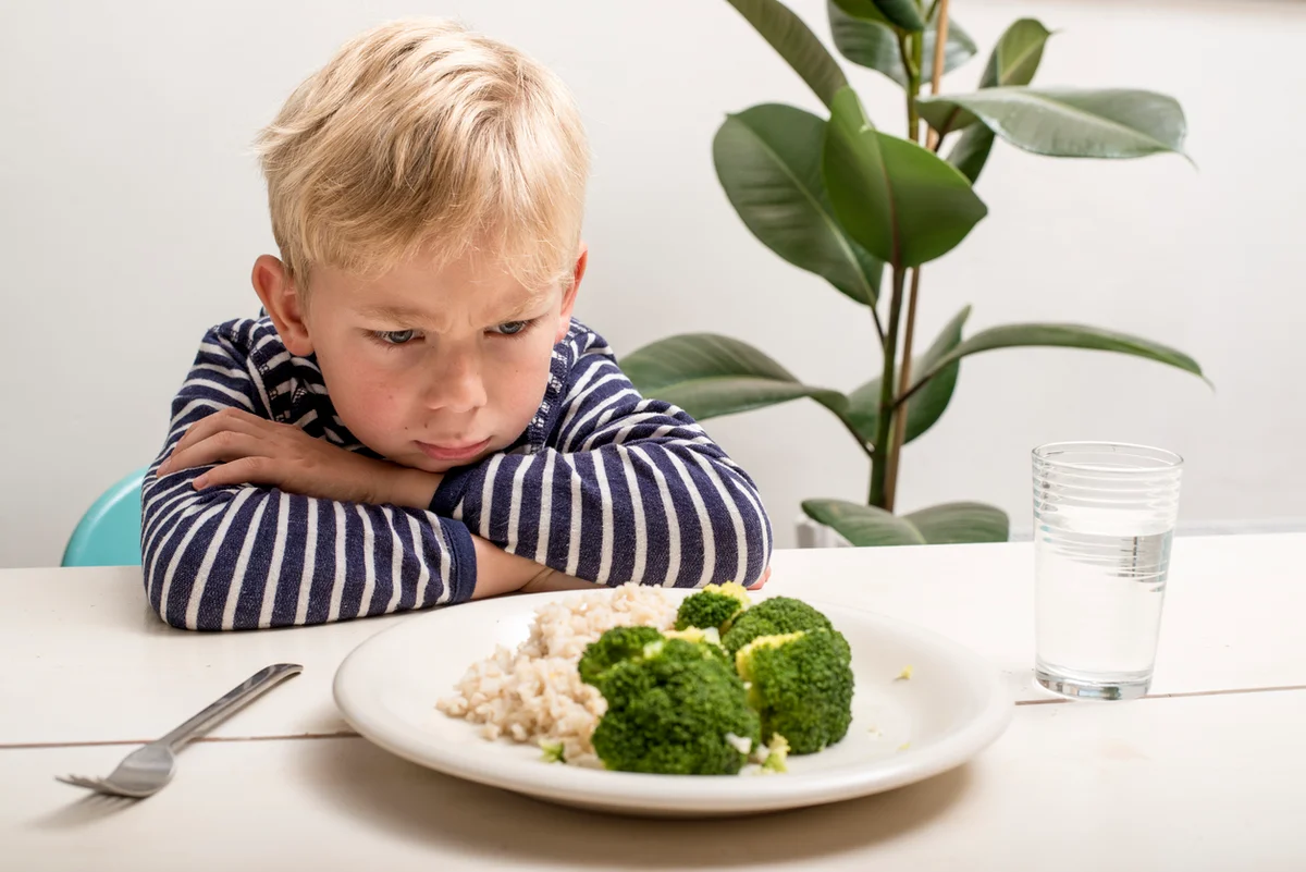 Ребенок не ест в детском саду комаровский – как детки кушают в садике?