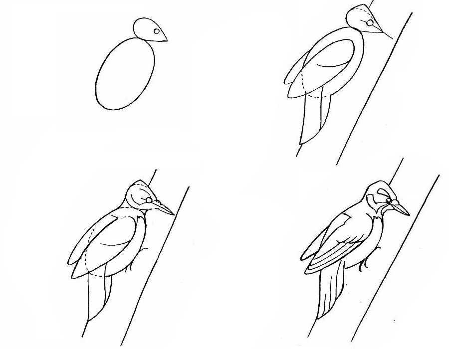 Как нарисовать птицу поэтапно карандашом, рисунок карандашом