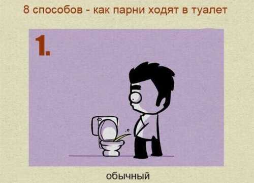 Правила поведения в общественных туалетах | brodude.ru