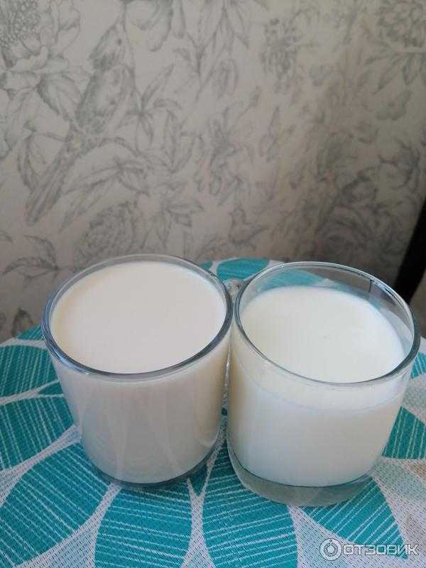 Молоко, простокваша и молочнокислые бактерии