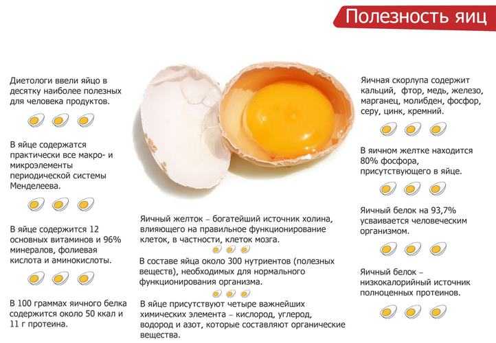Как определить свежесть яиц. и почему это важно