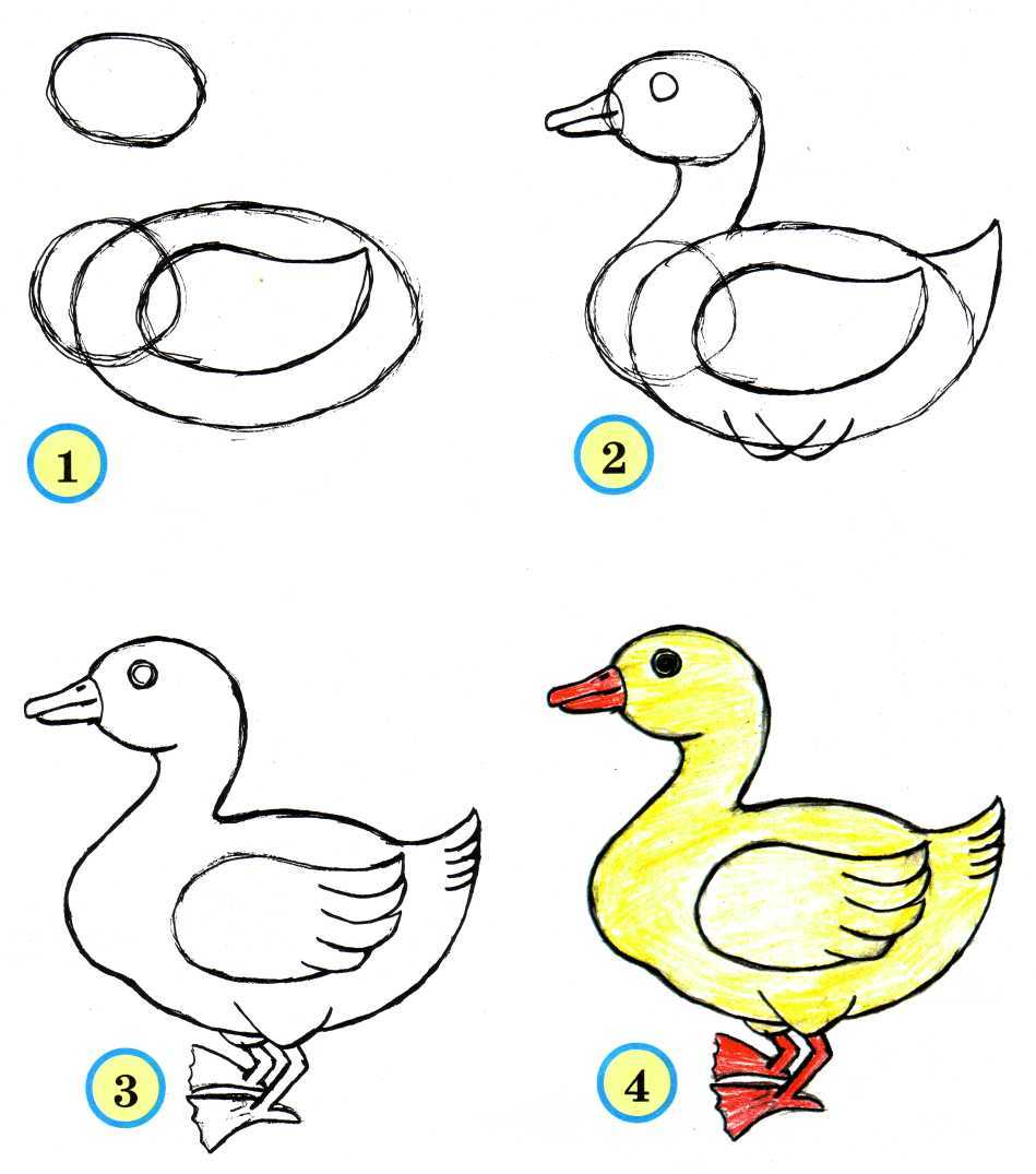 Как нарисовать жар птицу поэтапно для детей. как нарисовать жар птицу