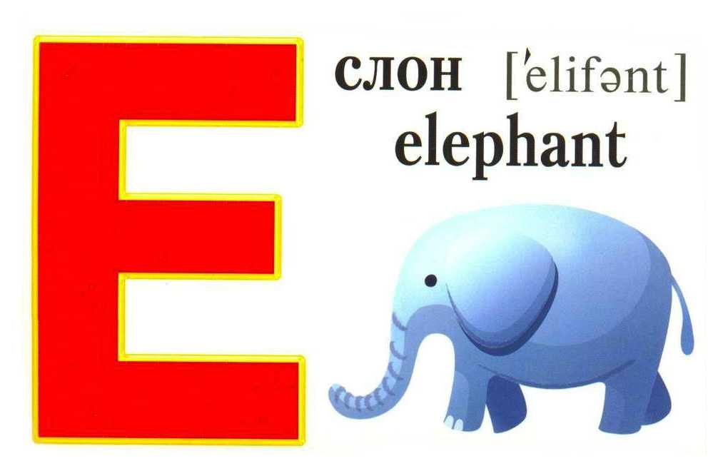 Elephant перевести. Английская буква e. Буквы английского алфавита для детей. Слова на букву e на английском. +Карточки с английскими буквами буква e.